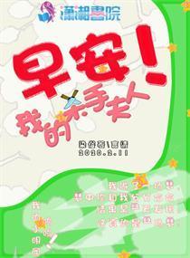 早安我的杀手夫人封面