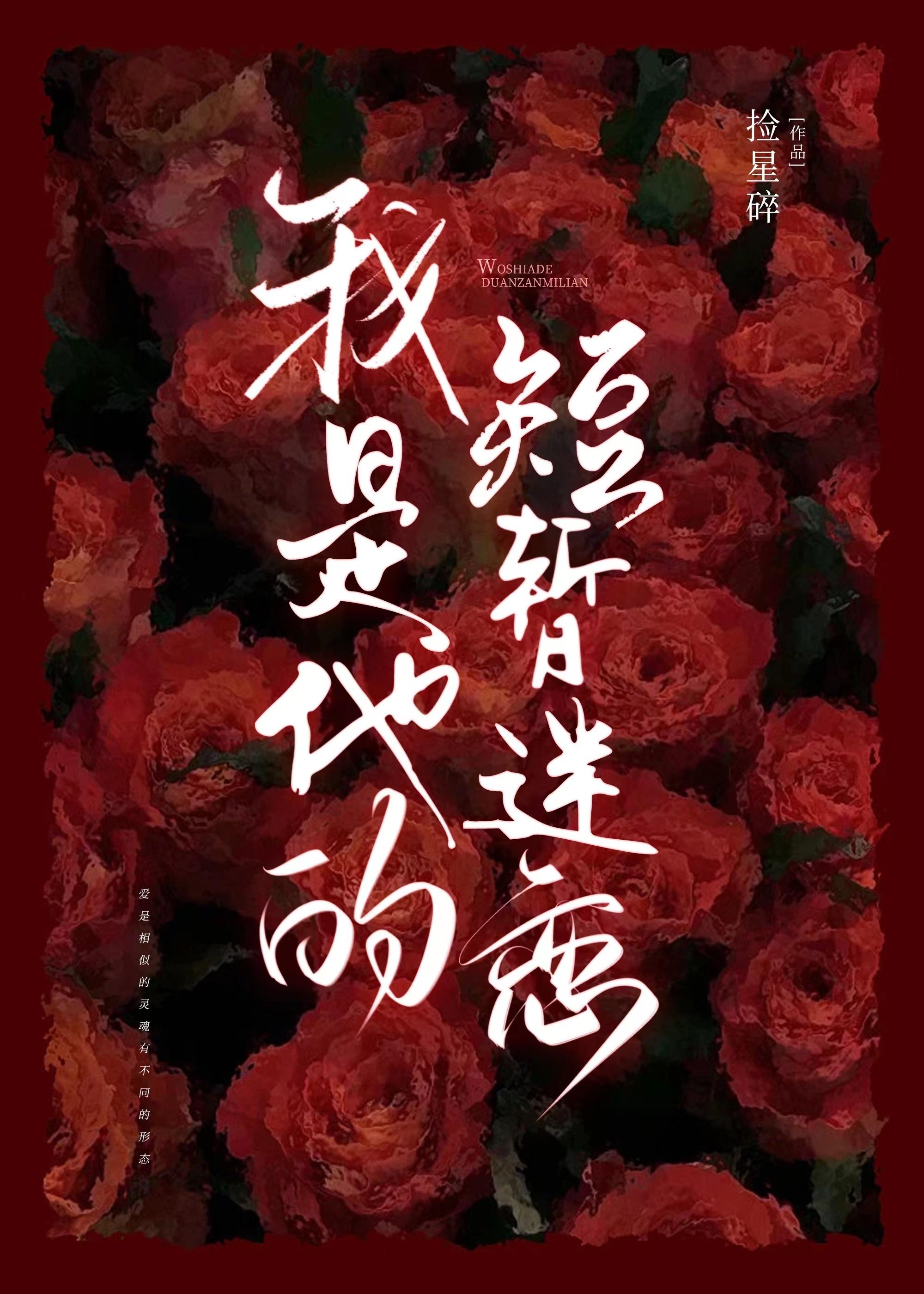 我是他的短暂迷恋封面