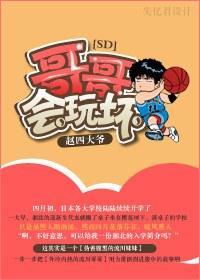 哥哥，会玩坏封面