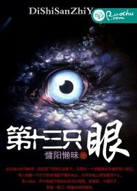 第十三只眼封面