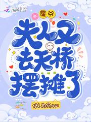 霍爷，夫人又去天桥摆摊了秦阮霍云艽封面