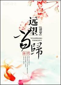 (清穿)远望当归封面