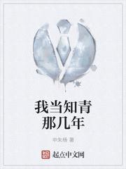 我当知青那几年封面