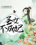 圣女萌妃封面