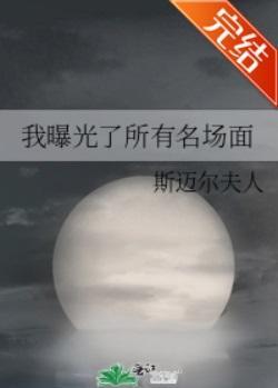 我曝光了所有名场面封面