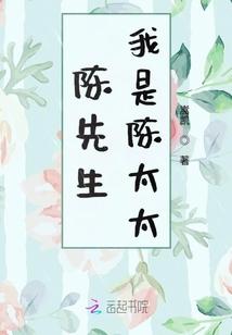 陈先生我是陈太太封面