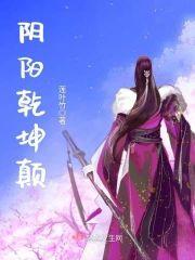 阴阳干坤颠封面
