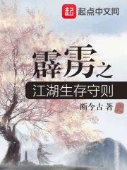 霹雳之江湖生存守则封面