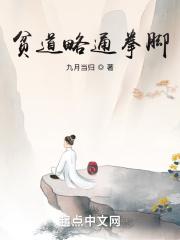 贫道略通拳脚封面