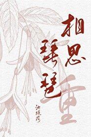 相思琵琶重封面