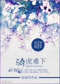 骑虎难下封面