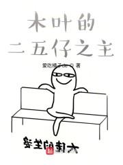 木叶的二五仔之主封面