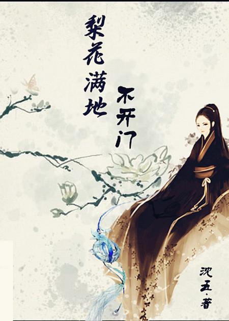 梨花满地不开门封面