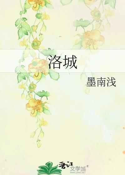 洛城封面
