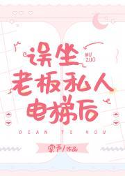 误坐老板私人电梯后封面