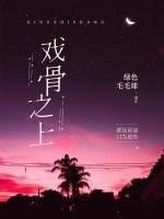 戏骨之上封面
