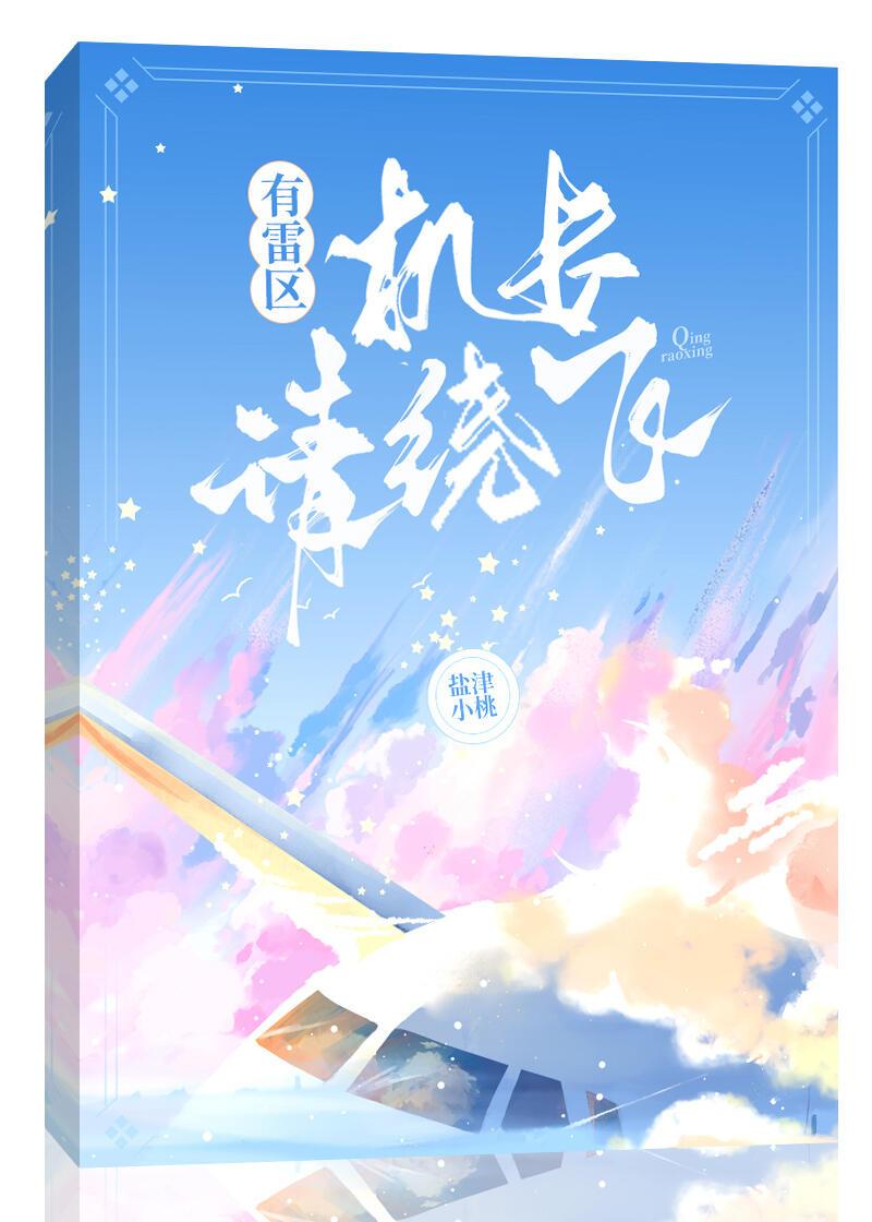 有雷区，机长请绕飞封面