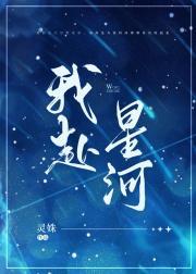 我赴星河封面