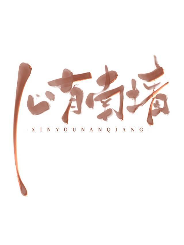 心有南墻封面