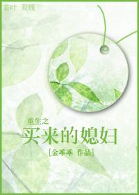 重生之买来的媳妇封面