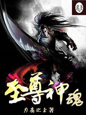 至尊神魂封面