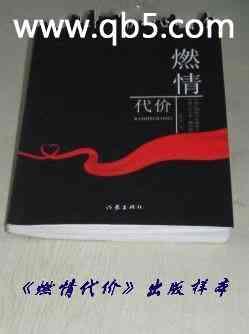 燃情代价封面