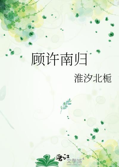 顾许南归封面