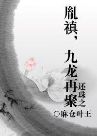 还珠之胤禛,九龙再聚封面