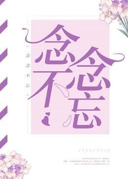 念念不忘封面