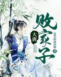 大唐败家子封面
