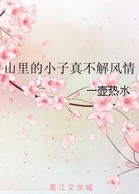 山里的小子真不解风情封面