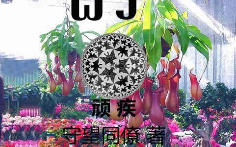 顽疾封面