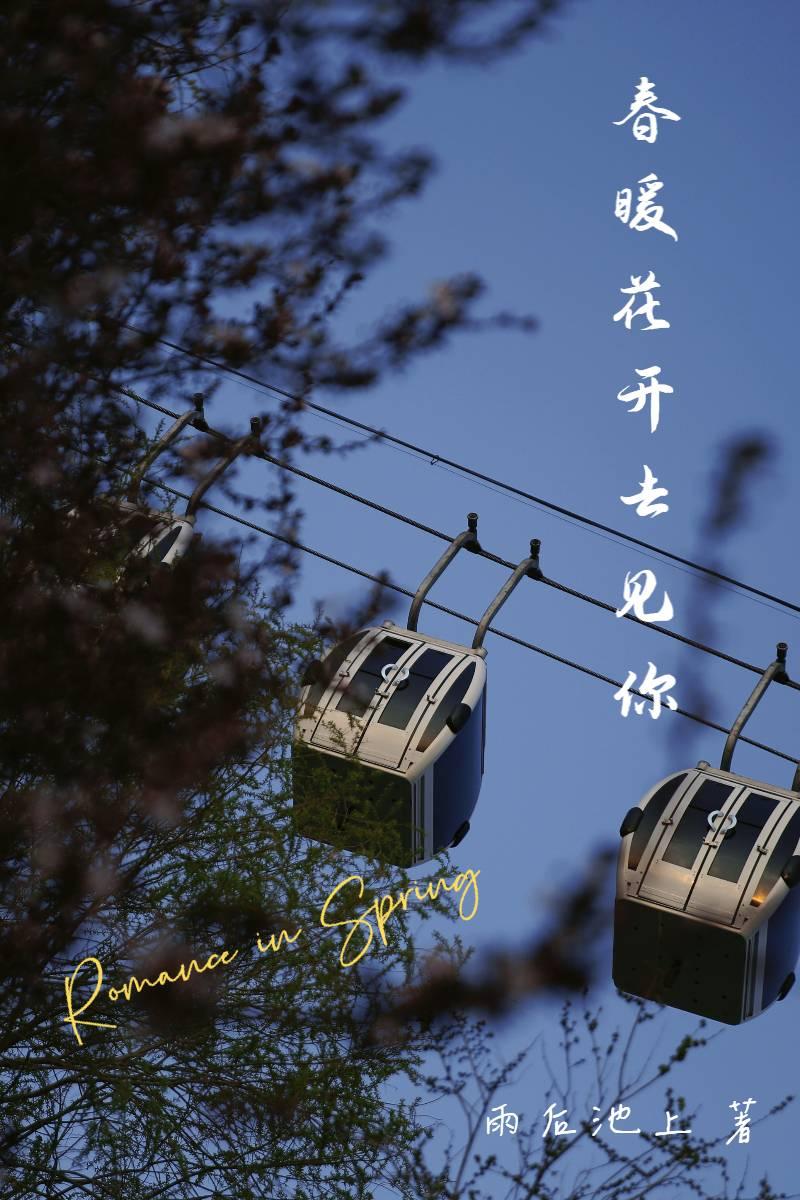 春暖花开去见你封面