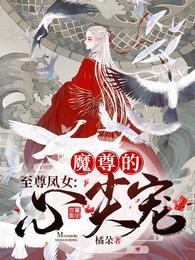 至尊凤女:魔尊的心尖宠封面