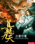 真龙九天封面