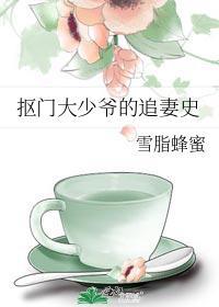 抠门大少爷的追妻史封面