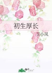 初生厚长封面