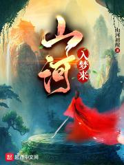 山河入梦来封面