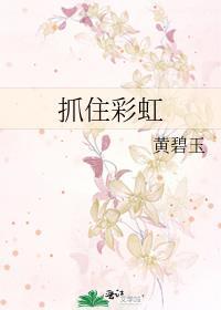 抓住彩虹封面
