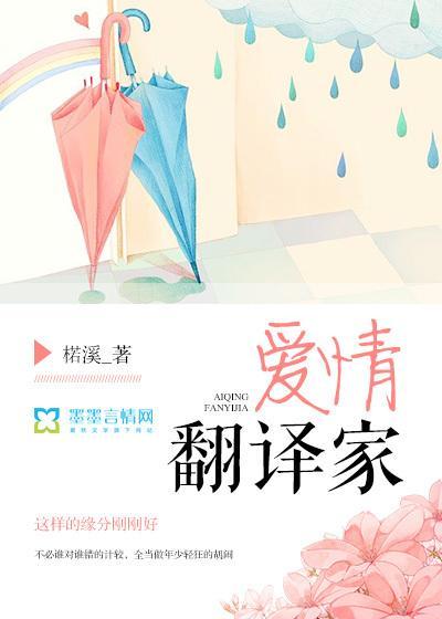 爱情翻译家封面