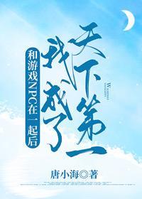 和游戏NPC在一起后我成了天下第一封面