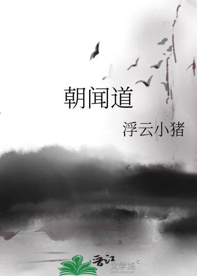 朝闻道封面