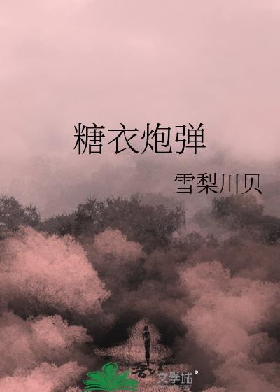 糖衣炮弹封面