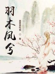 羽木凤兮封面