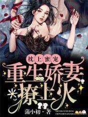 枕上蜜宠：重生娇妻撩上火封面