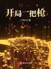 开局一把枪封面