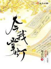 今我掌灯封面