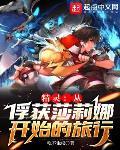 精灵：从俘获莎莉娜开始的旅行封面