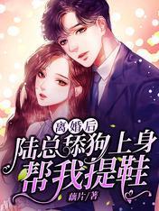 离婚后，陆总舔狗上身帮我提鞋封面