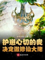 请妃入瓮：纨绔王爷神偷妻封面